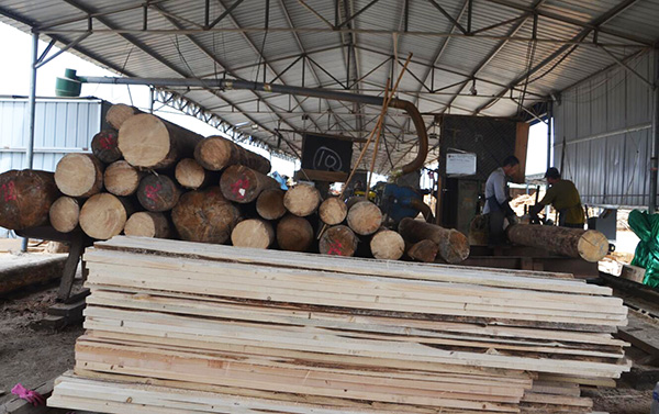 嵐山木材產業園聚集200家木材企業深加工延伸產業鏈